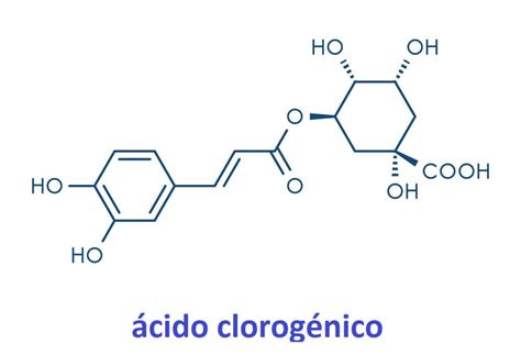 ácido clorogénico
